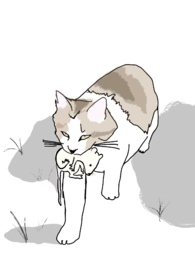 ʮ����������λ��У԰1V1��